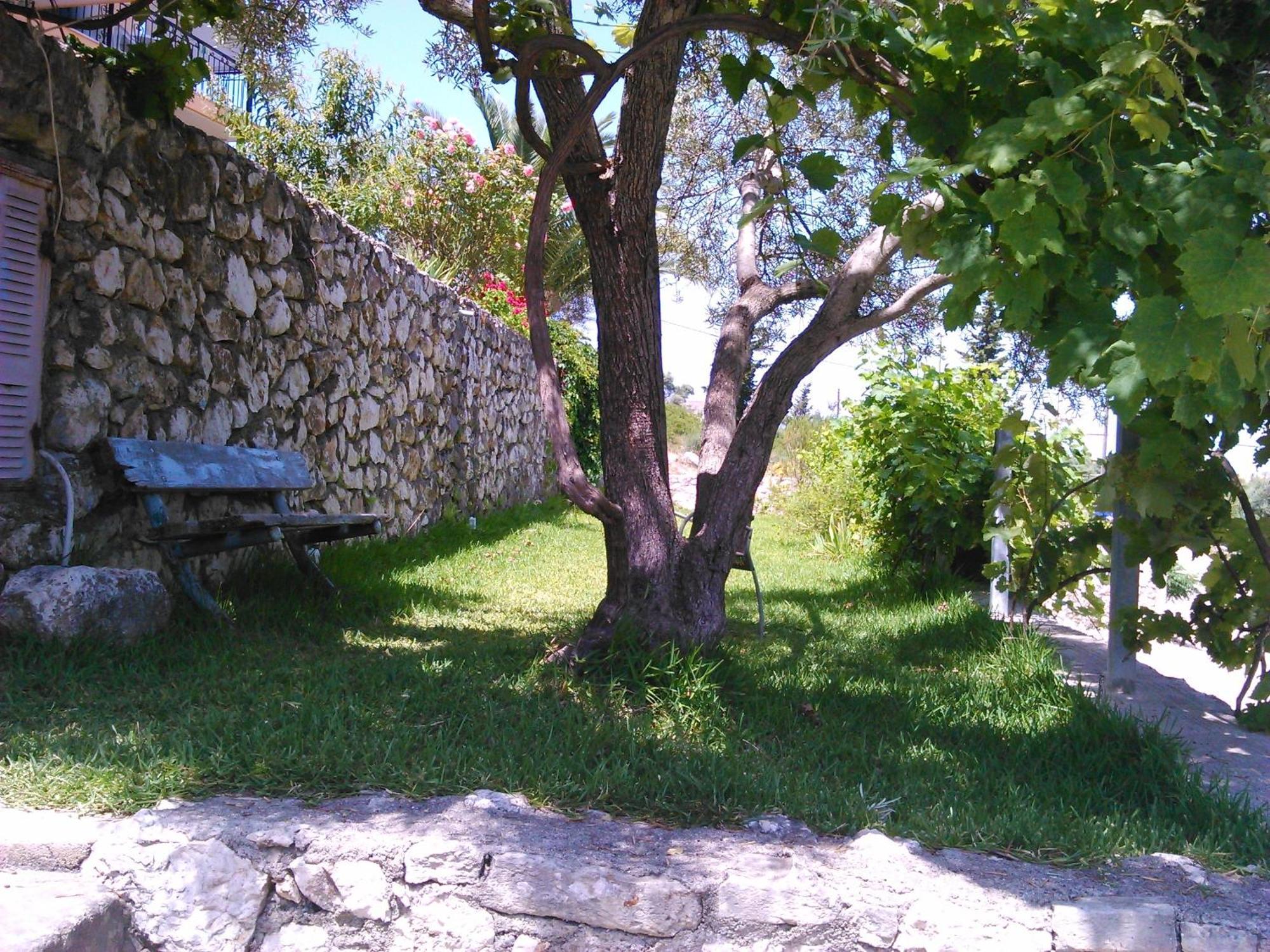 Pansion Laertes Apartment Tsoukaládhes Exterior foto